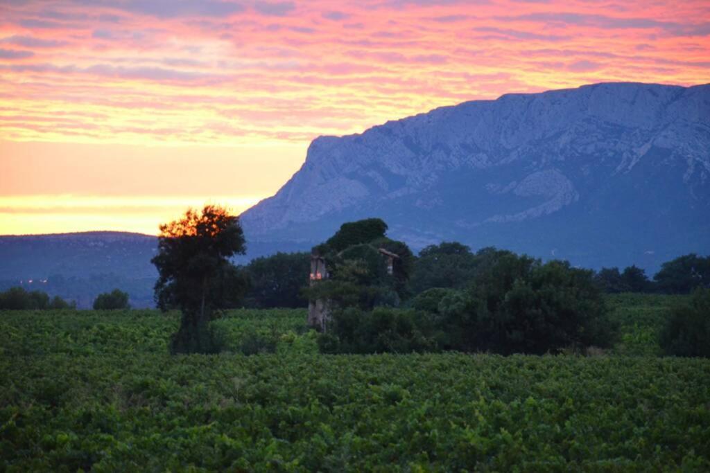 Appartamento Vue Sainte Victoire, Proche Aix-En-Provence Pourrieres Esterno foto
